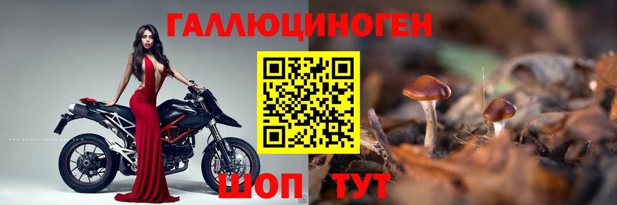Псилоцибиновые грибы Psilocybe Красный Сулин